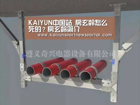KAIYUN中国站