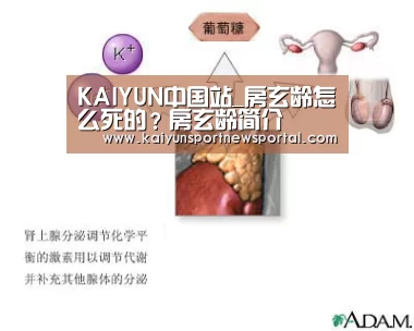 KAIYUN中国站