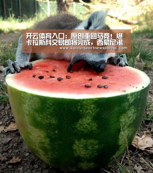 开云体育入口