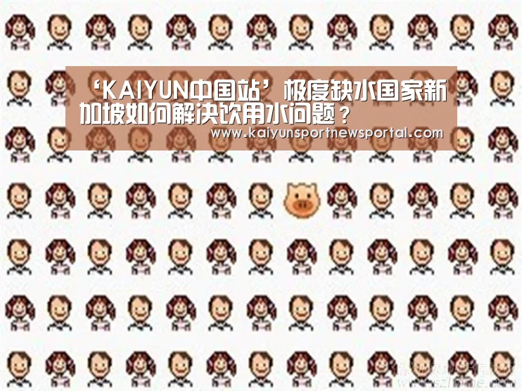KAIYUN中国站